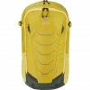 Deuter Flyt 20 Backpack turmeric/ivy
